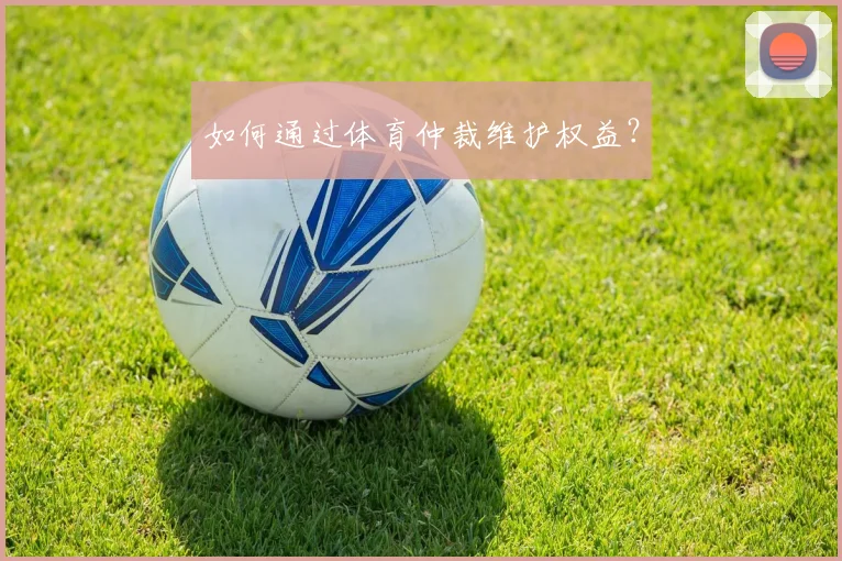 如何通过体育仲裁维护权益？