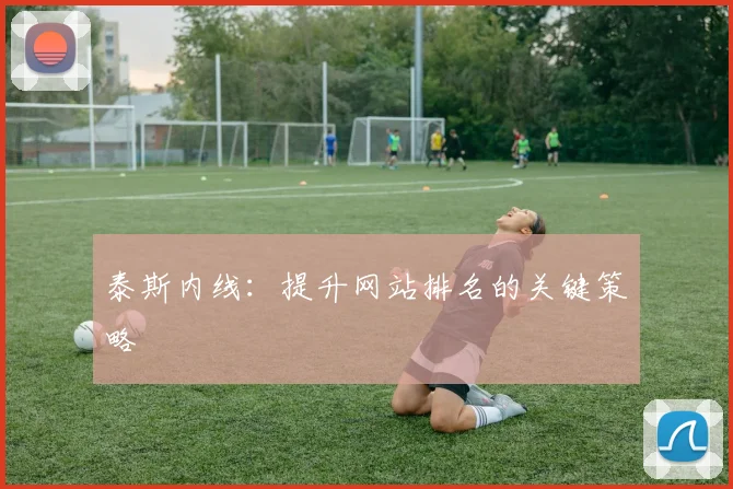 泰斯内线：提升网站排名的关键策略