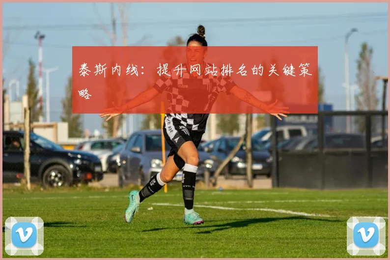泰斯内线：提升网站排名的关键策略